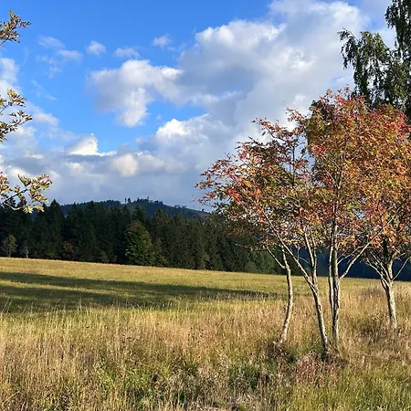 Vejminek * Abertamy