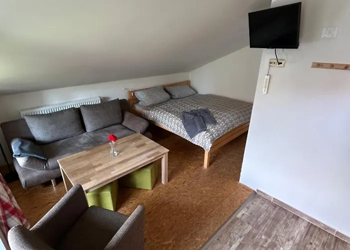Appartement Vejminek *