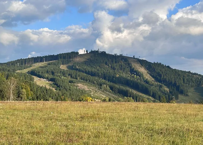 Vejminek